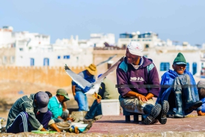 Essaouira: Sqala du Port, citadellet, fiskmarknaden och medina-rundtur