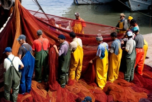 Essaouira: Sqala du Port, citadellet, fiskmarknaden och medina-rundtur