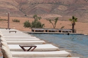 Evening Marrakech: Agafay Desert Quad , Camel & Dinner Shows