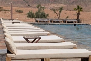 Evening Marrakech: Agafay Desert Quad , Camel & Dinner Shows