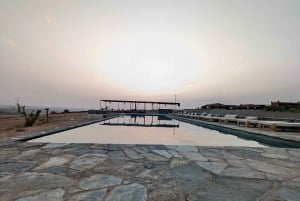 Evening Marrakech: Agafay Desert Quad , Camel & Dinner Shows