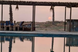 Evening Marrakech: Agafay Desert Quad , Camel & Dinner Shows