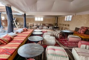 Evening Marrakech: Agafay Desert Quad , Camel & Dinner Shows