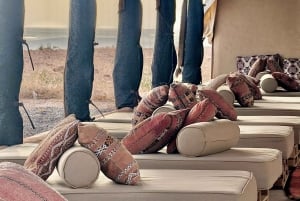 Evening Marrakech: Agafay Desert Quad , Camel & Dinner Shows