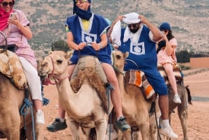 Evening Marrakech: Agafay Desert Quad , Camel & Dinner Shows