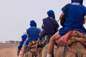 Evening Marrakech: Agafay Desert Quad , Camel & Dinner Shows