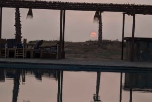 Evening Marrakech: Agafay Desert Quad , Camel & Dinner Shows