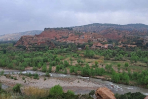 Excursion Ourika valley and atlas mountains