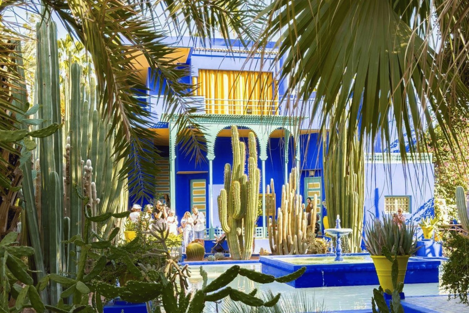 Explore Marrakech: Majorelle, YSL, Monuments & Markets