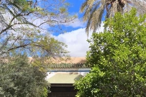 Explore most attractive sightseeing of Marrakech-shared tour