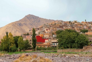 Marrakech Day trip Atlas Mountains & Agafay Desert