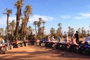 Udforsk den anden side af Marrakech på ATV