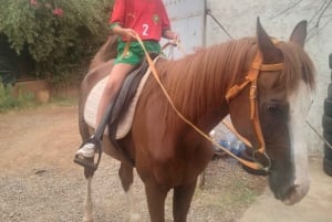 Udforsk den anden side af Marrakech på ATV