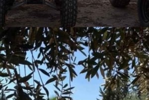 Udforsk den anden side af Marrakech på ATV