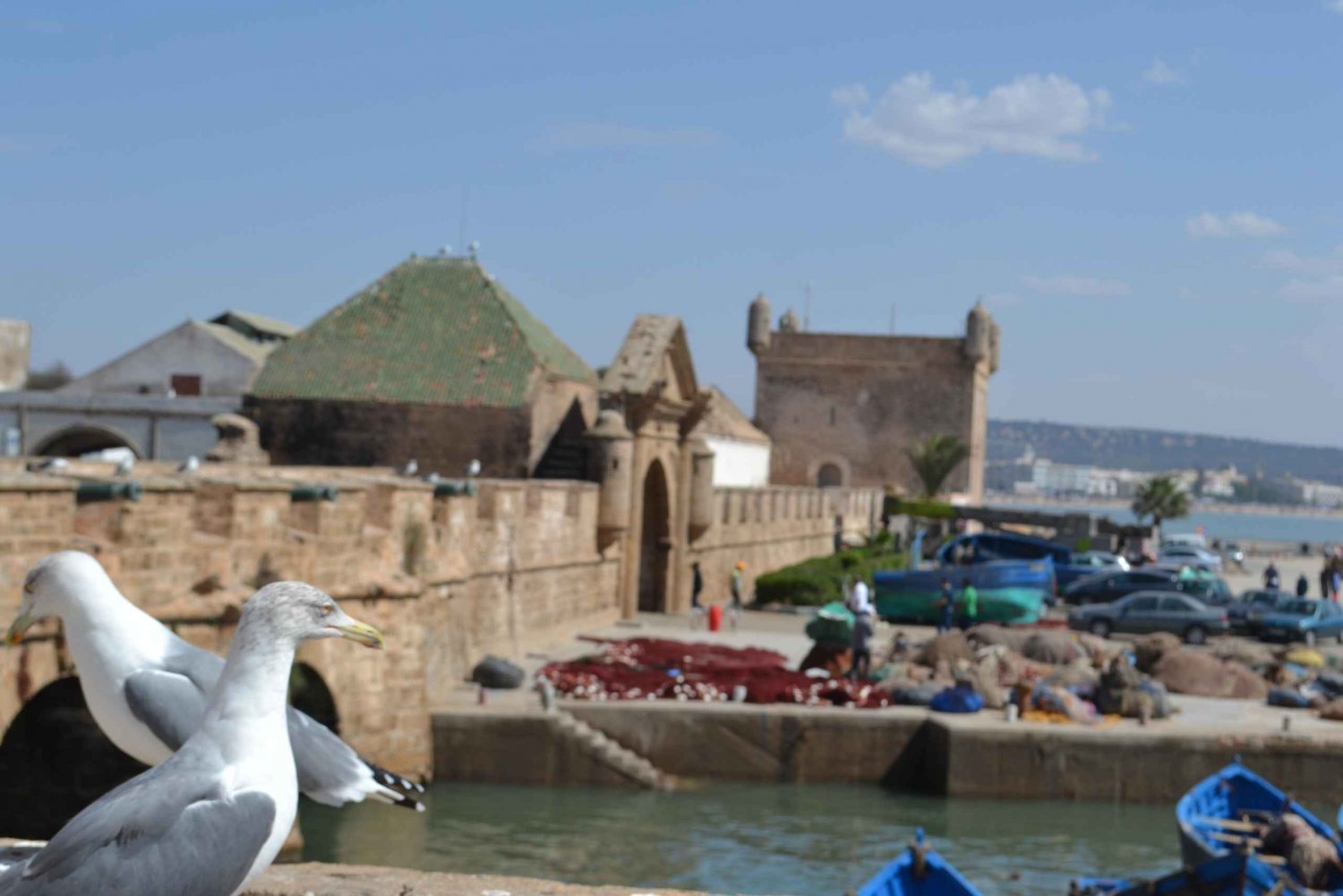 Discover Essaouira: A Day Tour from Marrakech
