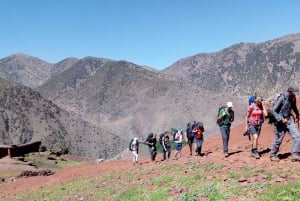 Trek met het gezin in Marokko. 2-daagse gezinsvriendelijke trektocht in het Atlasgebergte