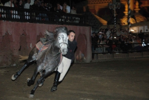 Fantasia 1001 Nuits : Dîner + Spectacle de Marrakech