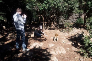 Fez: Passeio de 2 dias no deserto para Fez ou Marraquexe