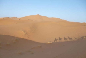 Fez: Passeio de 2 dias no deserto para Fez ou Marraquexe