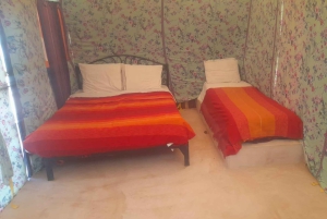 Fez: Passeio de 2 dias no deserto para Fez ou Marraquexe