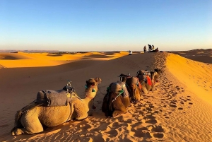 Fès: 2-daagse woestijnreis naar Merzouga (1 nacht), Marrakech