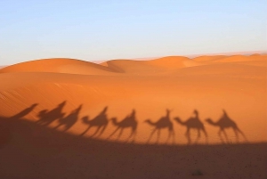 Fez: Excursión de 2 días al desierto de Merzouga (1 noche), Marrakech