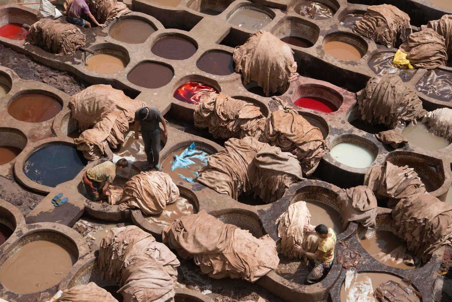 Fes: Madrasa Bou Inania, Museo, Conceria, Souk e Medina Tour