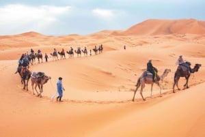 Fès à Marrakech : 3 jours dans le désert de Merzouga, chameau, quad, dîner