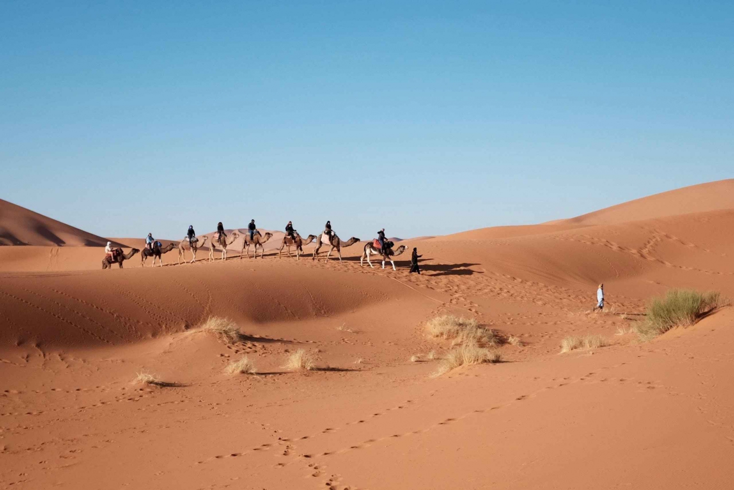 Fes To Marrakech: 3-Day Desert Tour