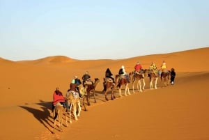 Fesistä Marrakechiin: Marrakec: 3-Day Desert Tour