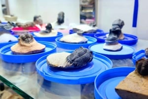 De Fez a Marrakech: tour mágico de 3 días y 2 noches en el Sáhara