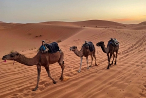 Fes to Marrakech via Merzouga Desert 3 Days Sahara Tour