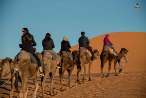 Da Fez: tour del deserto di 3 giorni a Merzouga e Marrakech