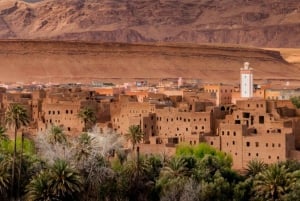Von Agadir: 3-tägige Wüstentour nach Marrakesch
