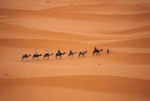 Von Agadir: 3-tägige Wüstentour nach Marrakesch