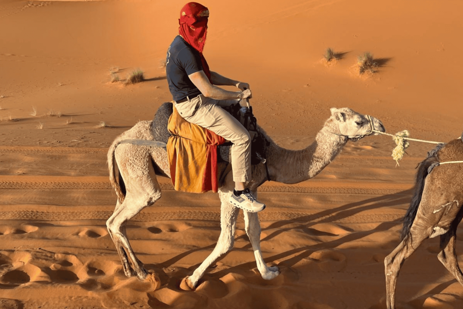 from Agadir: 3 Day Trip to Marrakech via Merzouga Desert
