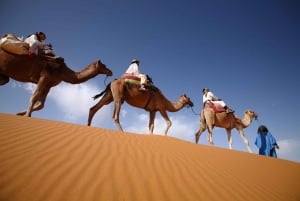 Fra Agadir: 4-dages privat ørkenrejse til Zagora og Merzouga