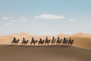 Fra Agadir: 4-dages privat ørkenrejse til Zagora og Merzouga