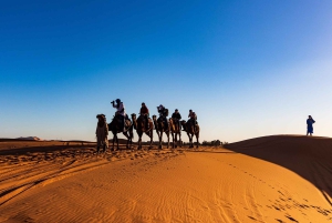 Fra Agadir: 4-dages privat ørkenrejse til Zagora og Merzouga