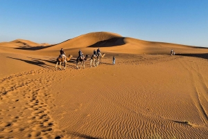 Fra Agadir: 4-dagers privat ørkentur til Zagora og Merzouga