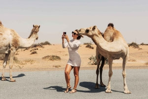 Fra Agadir: 4-dagers privat ørkentur til Zagora og Merzouga