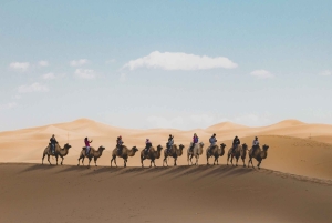 Fra Agadir: 4-dagers privat ørkentur til Zagora og Merzouga