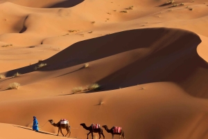 Fra Agadir: 4-dagers privat ørkentur til Zagora og Merzouga