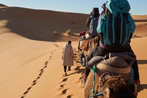 Fra Agadir: 4-dagers privat ørkentur til Zagora og Merzouga