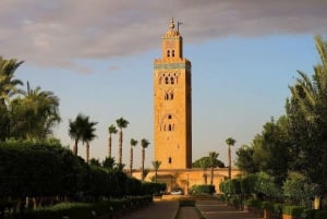 Fra Agadir: Dagstur til Marrakech