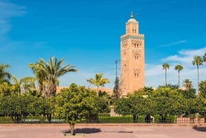 Fra Agadir: Heldagstur til Marrakech