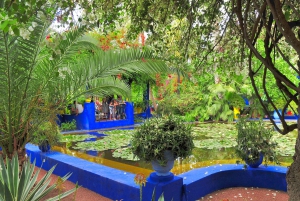 Agadirista: Agadir: Opastettu päiväretki Marrakechiin