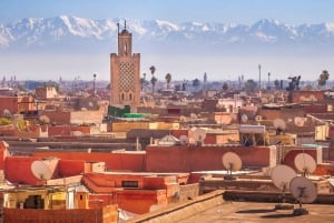 De Agadir: viagem guiada de 1 dia a Marraquexe