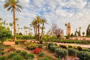 Au départ d'Agadir : excursion guidée d'une journée à Marrakech