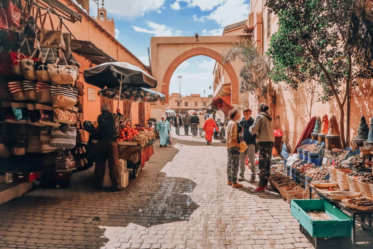 From Agadir: Marrakech Discovery Tour including Hotel Pickup